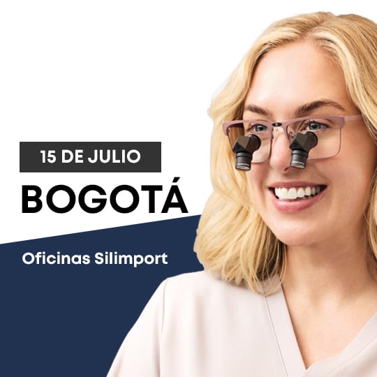 web bogota-2
