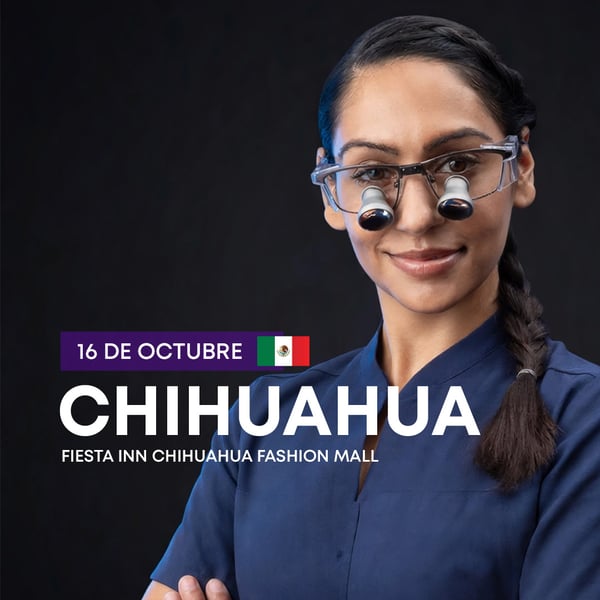 web chihuahua
