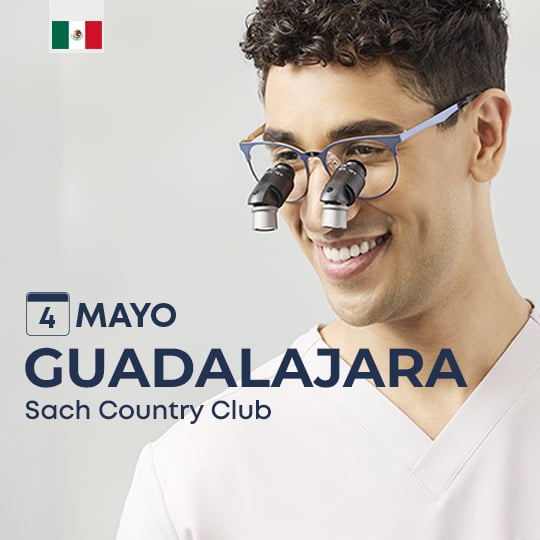 web guadalajara mayo