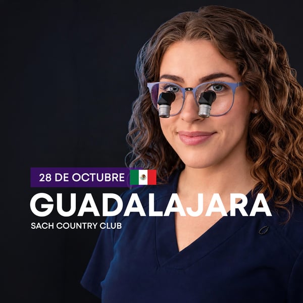 web guadalajara