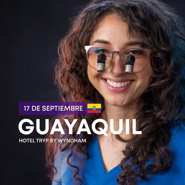 web guayaquil