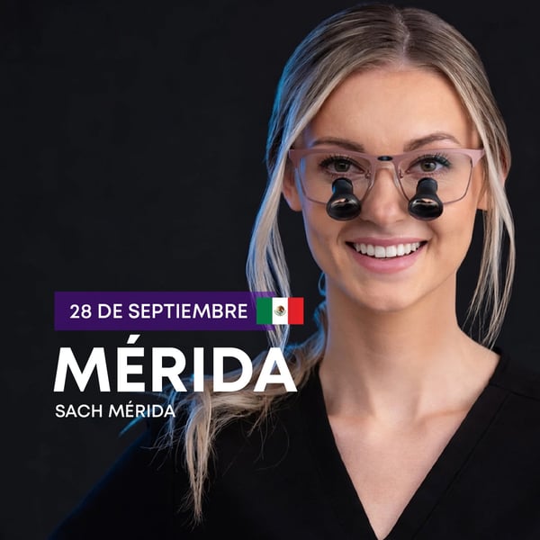 web merida
