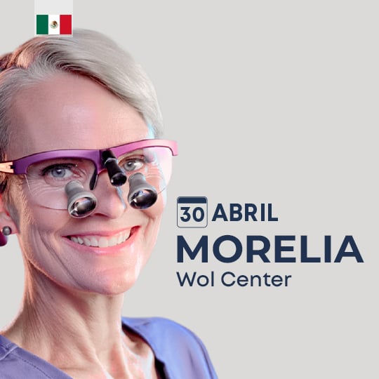 web morelia abril