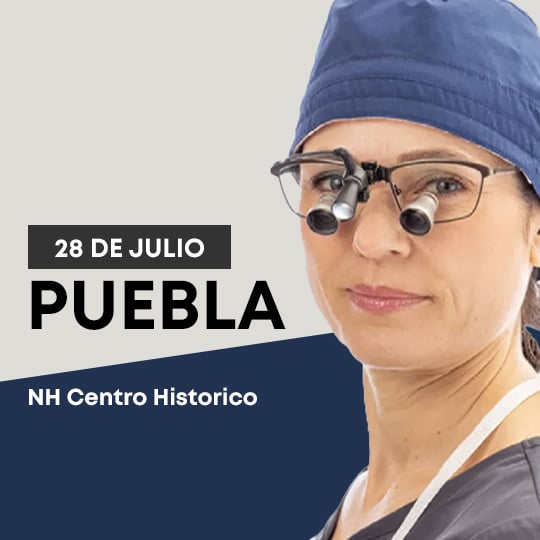 web puebla
