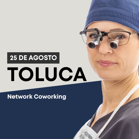 web toluca